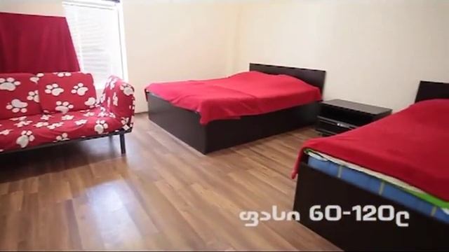 სიონი გოლდი смотреть онлайн