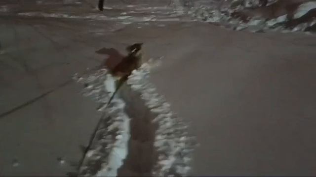 Снегоход смотреть онлайн