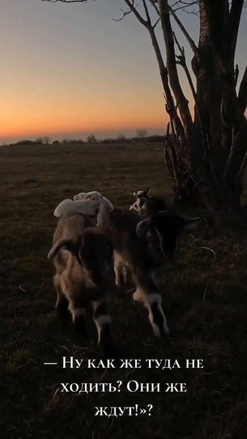 А ты любишь приключения? смотреть онлайн