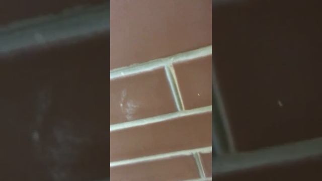 Испытание нового барбекю