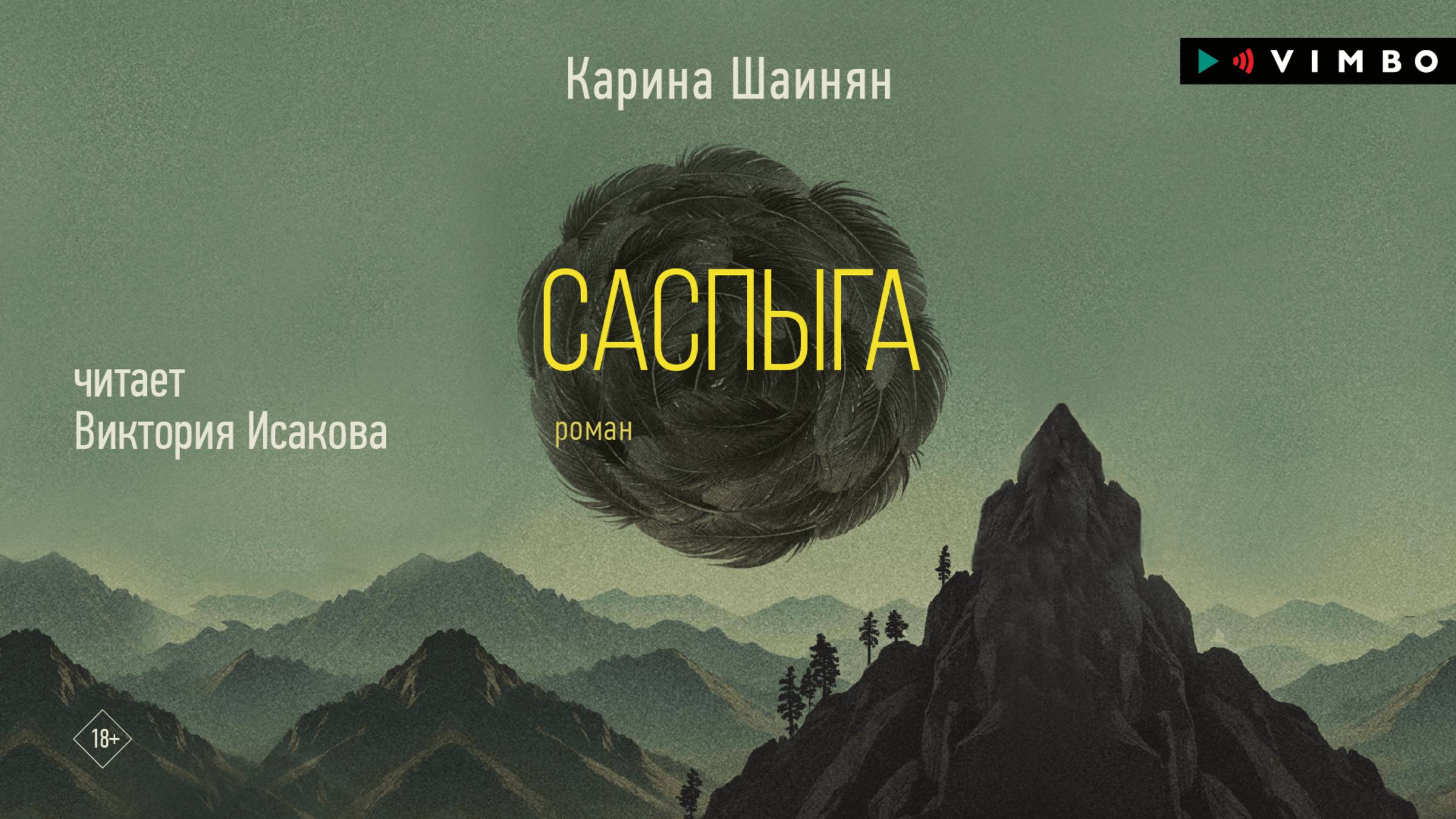 новинка «САСПЫГА» КАРИНА ШАИНЯН фрагмент аудиокниги смотреть онлайн