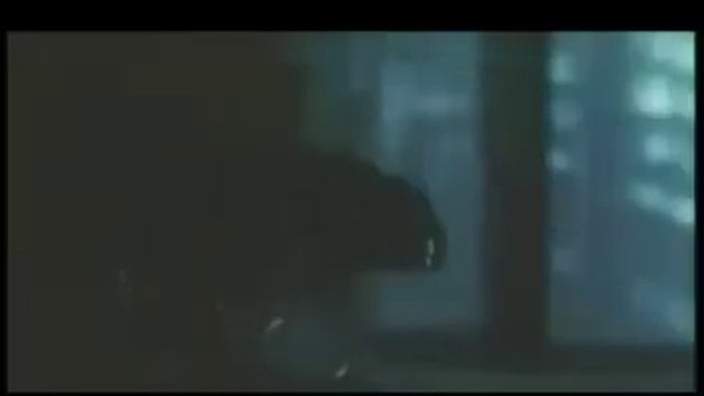 Seductive Movie collection - BALAHIBONG PUSA (Full Movie) / palakang-tuten movies смотреть онлайн