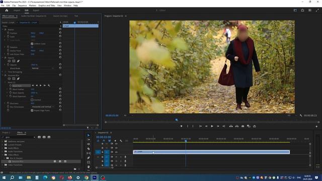 Как скрыть лицо с помощью размытия и сделать трекинг маски в Premiere Pro смотреть онлайн