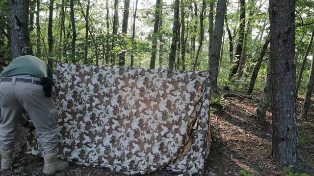 White Hills Backwoods Bungalow смотреть онлайн