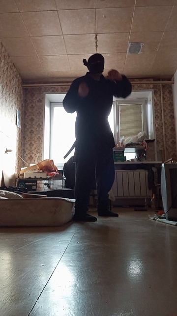 Крайне Северный Ниндзя: Сбоку (12.03.2025) Very Nordic Ninja: From Side #VeryNordicNinjaLavinACombo