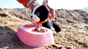 Барби и щенок на пляже. Видео для девочек. Маша Капуки и игры в куклы