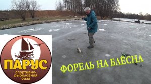 ПАРУС ЮГ ФОРЕЛЬ АТАКА БЛЕСНЫ