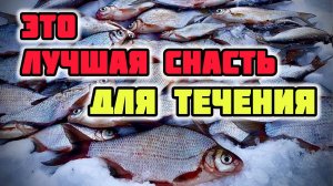 Самая уловистая снасть на течении. Зимний подледный фидер. Зимняя рыбалка