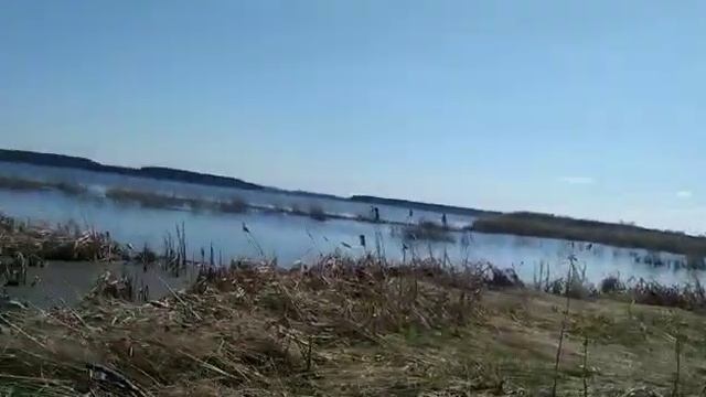 Озеро Штанкуль разлилось. Обзор огорода.
