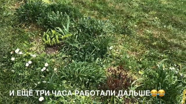 648.Эстония. Живем как все. #жизньвэстонии #novatinafilm #vlog смотреть онлайн