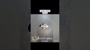 О вскрытие Гардина 25.14