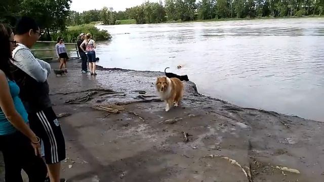 Ero swimming at Bpw River with Bingkat & Dodong смотреть онлайн