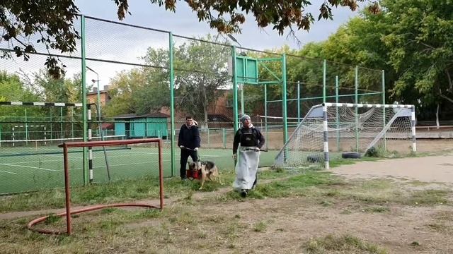 Тренинг с Алексеем Перекопским смотреть онлайн