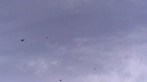 12.03.2025г.У Коли в Стожковке.