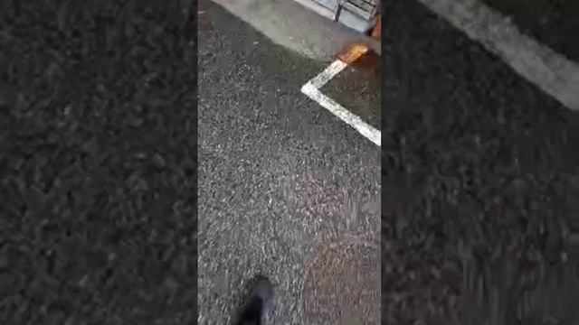 اسعد الله مسائكم تحياتي للجميع смотреть онлайн