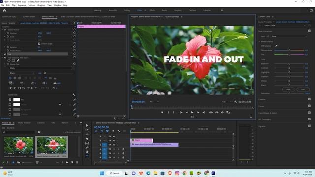 How to add fade in and out text in premiere pro смотреть онлайн