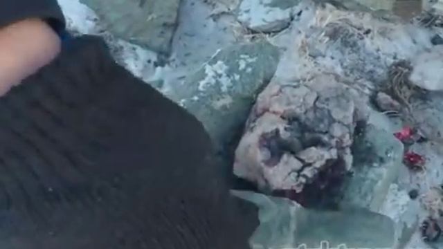 Тыва делегей Алдай сыннарының эдээ, Сэнгэлге Шагаа смотреть онлайн
