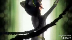 Клип-Леди баг и Супер кот «Дикая львица»