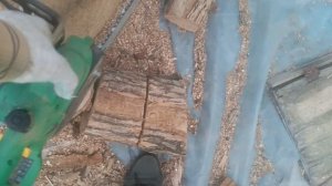 дровишки VID_20250312_164643