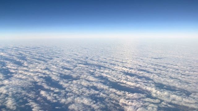 Полет в Евробизнес классе Utair Москва- Сургут смотреть онлайн