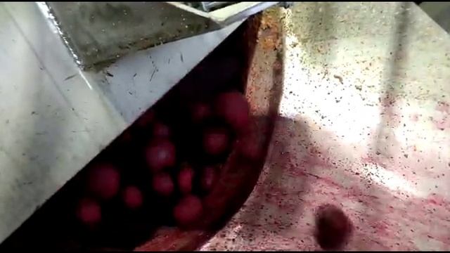 Очистка чистка свеклы и овощей от кожуры смотреть онлайн