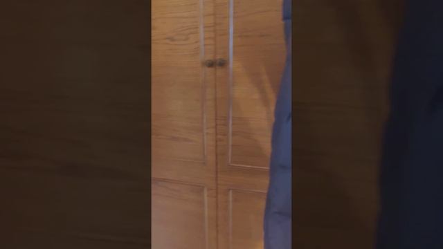 23 февраля 2023 г. смотреть онлайн