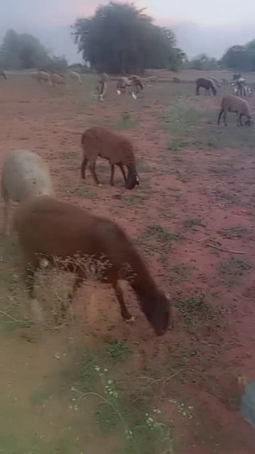 May 17, 2023 смотреть онлайн