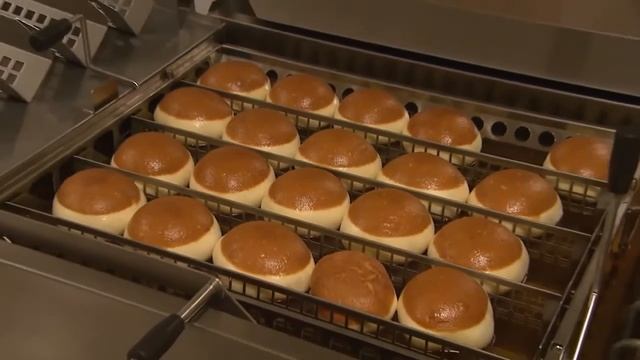 ANKOMAK - DONUT MAYALAMA VE DİNLENDİRME MAKİNASI