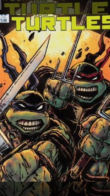 tmntedit#tmnt#shorts смотреть онлайн