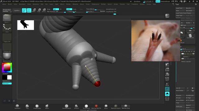02 MOUSE ANATOMY ZPHERE SCULPT ZBRUSH смотреть онлайн