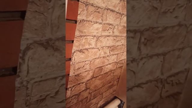 Отдых в Голубицкой2 х мест номер на1 этаже. 