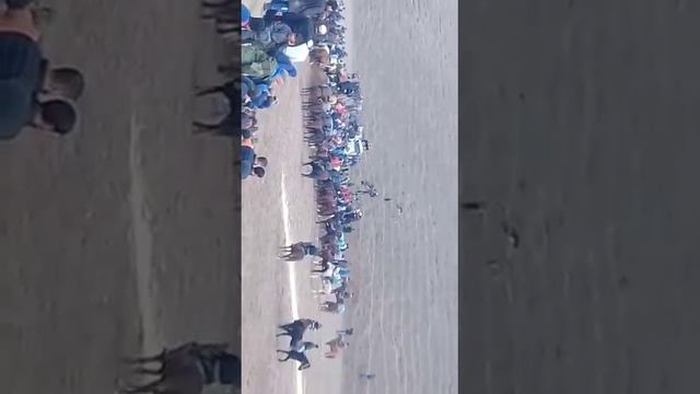 Олим човандоз нохияи Панҷ бо аспи Сай лакаби асп чалпак