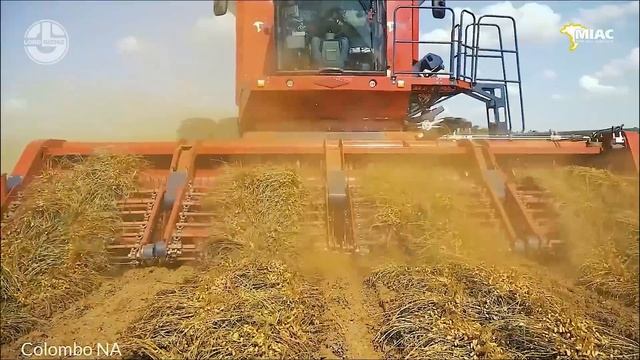 Harvesting MILLIONS Of Tons Of PEANUTS To Make Delicious Peanut Butter смотреть онлайн
