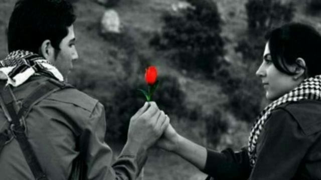 Ya Tal3een -- ياطالعين 🕊️ | Dana Salah