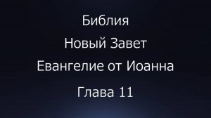 Библия. Новый Завет. Евангелие от Иоанна, глава 11.