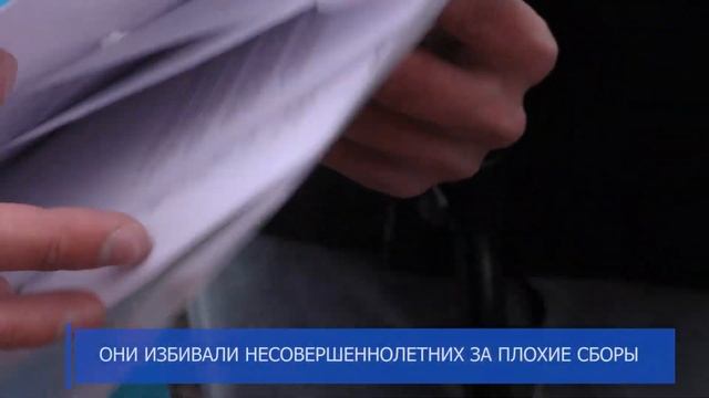 Белгородские активисты приехали в Курск смотреть онлайн