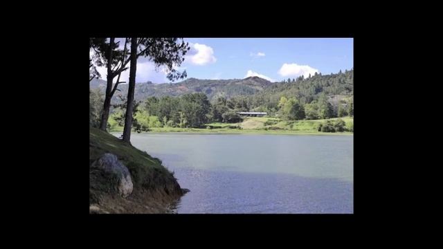 Sesión 248 - "Entre lo Íntimo y lo Colectivo" por Arq. Carlos Pardo (Colombia) смотреть онлайн
