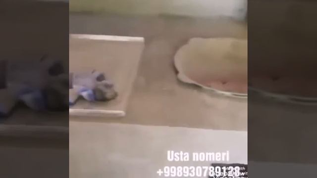 Zamonaviy Tandir O'choq Qurish 2 Qism