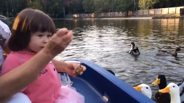 девочки и утки - 3 смотреть онлайн