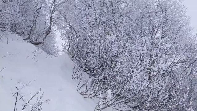 Lomisa (georgia) смотреть онлайн