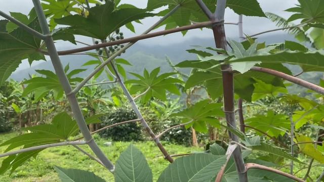 Went on A Roadtrip and Ended up Here- Blue Lagoon Mineral- via Blue Mountains