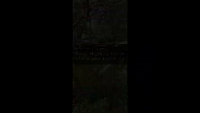 ☕ Mojo - Cafe in Mundaring, Perth - Hippie cafe/restaurant смотреть онлайн