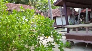 First Bungalow Beach Resort 4*. Самуи. Таиланд