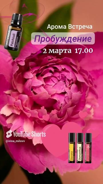 Арома встреча в Нижнем Новгороде. смотреть онлайн