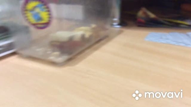 Мучной хрущ и несостоявшаяся битва смотреть онлайн