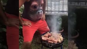 Танцующий живот