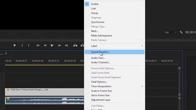 How to Reverse Clip in Premiere Pro - 16 Seconds смотреть онлайн