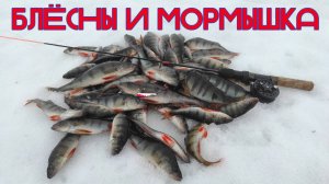 ЛОВЛЯ ОКУНЯ на блёсны и мормышку в марте.