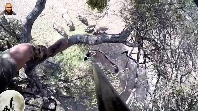 الأسد الأفريقي ينتقم من الصياد 😱👌👍 الجزء 3