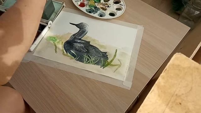 Speedpaint bird смотреть онлайн